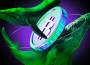 Bitcoin Whale Gandakan Taruhan Long US$1,25 Miliar pada Hyperliquid