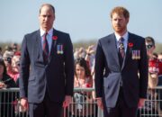 Pangeran William dan Harry Tak Masuk dalam Surat Wasiat, Warisan Rp30 Miliar Jatuh ke Tangan Lain