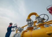 Pertagas Perkuat Infrastruktur Midstream Dorong Monetisasi Lapangan Gas di Indonesia Timur
