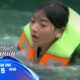 Penyelamatan Biru-Amira dan Ingatan Masa Lalu Damar